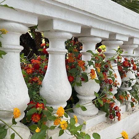 Beautiful Garden Apartment Steps From The Beach 芒通 外观 照片