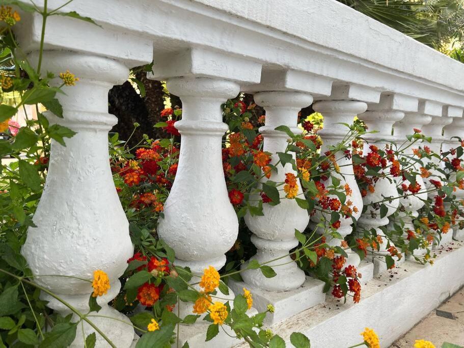 Beautiful Garden Apartment Steps From The Beach 芒通 外观 照片